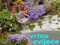 Vrtno cvijeće